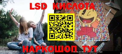 прущие грибы Краснодар