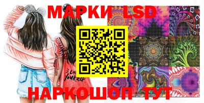 прущие грибы Краснодар