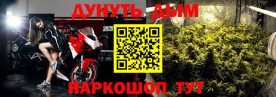 прущие грибы Краснодар