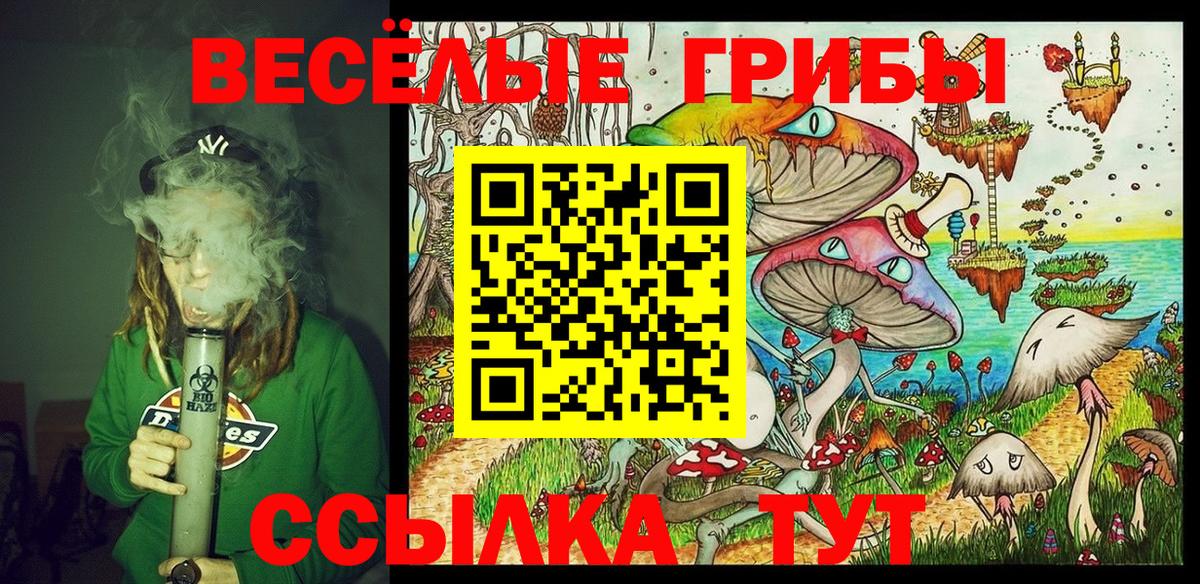 Псилоцибиновые грибы Cubensis Зерноград