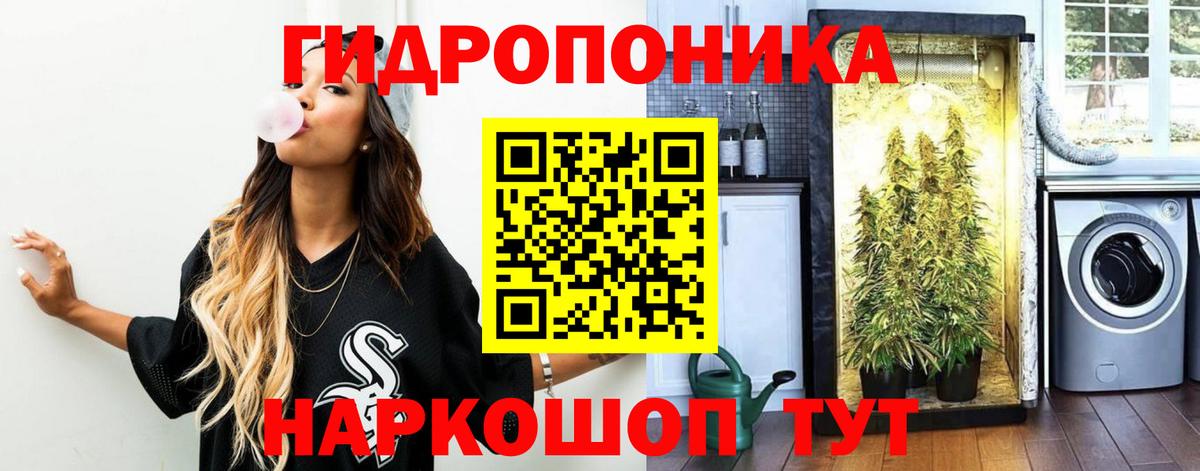 Бошки Шишки THC 21% Зерноград